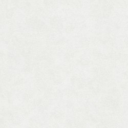 Обои AS Creation Pop Style 1160-55